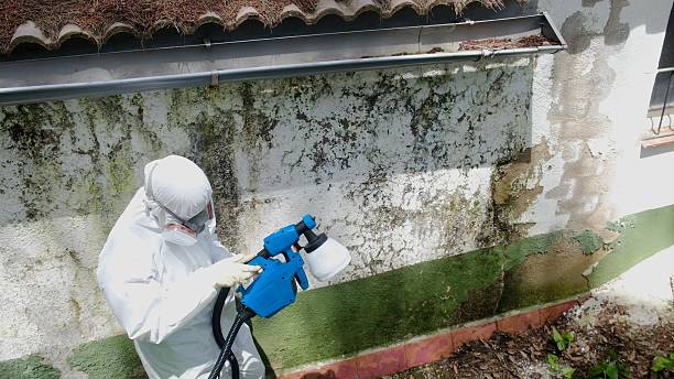 Top rated local Mold Remediation specialists in Rancocas, NJ